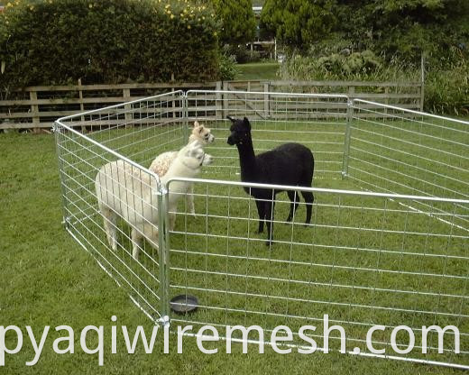 Hot Sale Galvanized Wire Wire Mesh Portable Fence Panel/Corral Panel/Alpaca Panel (Factory)